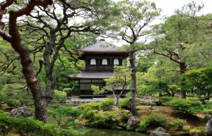 Photographie et animation 3D - Architecture & paysage - Vincent Carlier