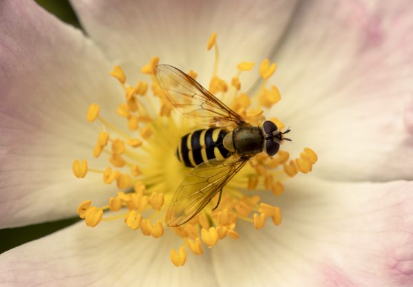 Photographie et animation 3D - Création - Vincent Carlier